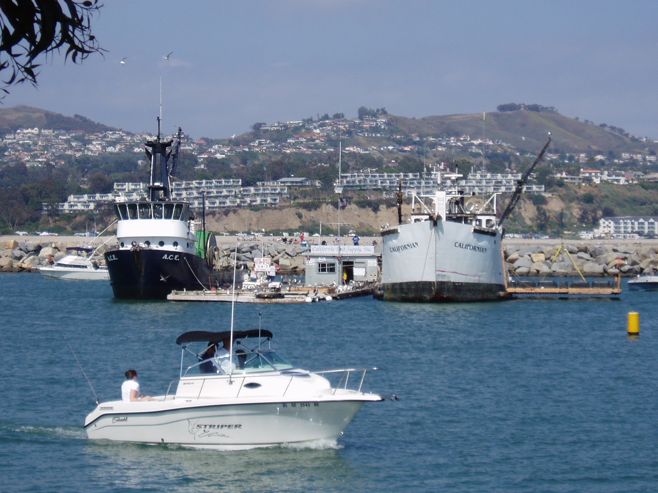 Boats in a harbor with the A.C.E. fishing boat in the background.