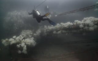 A scuba diver exploring the A.C.E. shipwreck in 2010.