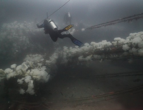 Mystery solved: Where was the wreck of Dana Point’s wind-bashed bait boat?